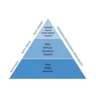 Essentia Nature, perfumy do prania, Leśne Kwiaty, 250 ml