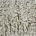 Eurofirany, koc koala, beżowy, 70-160 cm