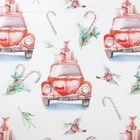 Eurofirany, komplet pościeli świątecznej, Candy, 160-200 cm, biały