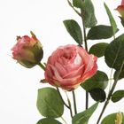 Eurofirany, kwiat Natu, 75 cm, ciemnoróżowy