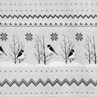 Eurofirany, świąteczny komplet pościeli, Tasha, 140-200 cm, biały