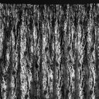 Eurofirany, zasłona zaciemniająca gotowa, na taśmie, Elise, 140-270 cm, czarny