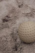 Find that Hippo, piłka sensoryczna, zielona, 20 cm