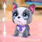 FurReal Friends, Walkalots, Buldog Francuski chodzący na smyczy, zabawka interaktywna