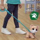 FurReal Friends, Zwierzaki na smyczy, Kotek na smyczy, zabawka pluszowa