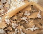 Gadget Master, foremki na ciastka, dinozaury, 6 szt.