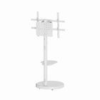 Gembird, stojak na telewizor, 37"-86"