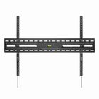 Gembird, uchwyt ścienny do telewizora, 43"-100"