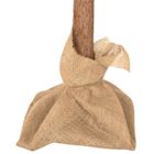 Gregman, Xmas 10, choinka, 180 cm