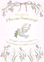 Henry, karnet A5 z kopertą, chrzest, złocony, gołąb dziewczynka