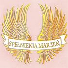 Henry, karnet z kopertą, 15-15 cm, zlote skrzydła