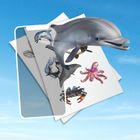 HoloToyz, naklejki AR z dźwiękiem, Sea Creatures