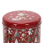 Home Styling Collection, świąteczny zestaw metalowych pojemników w różnych rozmiarach, 2 szt.