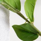 Homla, Azalea, gałązka sztuczna, azalia japońska, biała, 112 cm