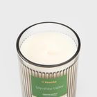 Homla, Brise, świeca zapachowa z zawieszką, Lily of the Valley, 230 g