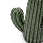 Homla, Cactus, dekoracja stojąca kaktus ceramiczny, 14-6-16 cm