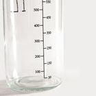 Homla, Eris, butelka, szklana, 1l