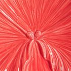 Homla, Folar, taca dekoracyjna, kwiat koralowy, 20,5-20,5-3,5 cm