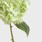 Homla, Fortens, gałązka sztuczna, hortensja, zielona, 49 cm, 739019