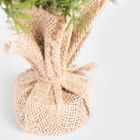 Homla, Juletran, choinka, zielona z szyszkami i czerwonymi gałązkami, 30 cm