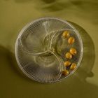 Homla, Lynn, talerz, z podziałkami, 24 cm