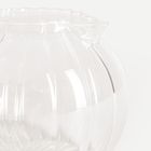 Homla, Senza, zaparzacz, szklany z podgrzewaczem, 1l