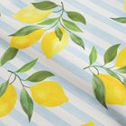 Homla, Sidrum, mata plażowa, w cytryny, 150-200 cm