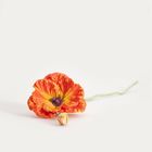 Homla, Slava, gałązka sztuczna, kwiat pomarańczowy, 85 cm