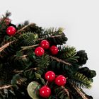 Homla, Terim, stroik, zielony, 25 cm