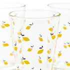 Homla, Token Summer, szklanka w cytryny, 0,3 l, 3 szt.