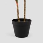 Homla, Tropical Zone, roślina sztuczna, dracena, 90 cm, 740596