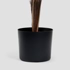 Homla, Tropical Zone, roślina sztuczna, palma wysoka, 150 cm