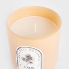 Homla, Wellness, świeca zapachowa, Calm, 160g