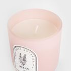 Homla, Wellness, świeca zapachowa, Relax, 160g