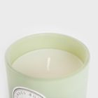 Homla, Wellness, świeca zapachowa, Restore, 160g