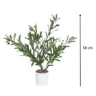 Ibergarden, dekoracyjne drzewko oliwne, 58 cm