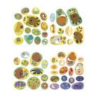 Janod, Las, książeczka do wyklejania, z naklejkami