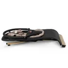 Kidwell, Rubi, bujaczek czarno-złoty