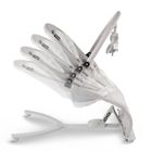 Kidwell, Rubi, bujaczek, szaro-biały