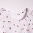 Komplet dziewczęcy, T-shirt, Szorty, mix, Nicol