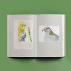 Kroniki ptaków z podwórka