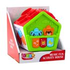 Lean Toys, interaktywny domek edukacyjny, sorter