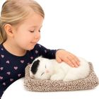 Lean Toys, śpiący biały kot na poduszce, maskotka