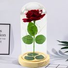 Lean Toys, wieczna róża w szkle oświetlenie LED, czerwona
