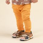 Legginsy chłopięce, pomarańczowe, Pinokio