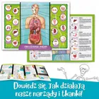 Lisciani, I'm a Genius, Poznaj Ciało Człowieka, zestaw naukowy