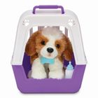 Little Live Pets, Mój Prawdziwy Szczeniaczek, piesek z transporterem, maskotka interaktywna
