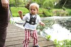 LittleLife, Krokodyl, szelki bezpieczeństwa