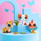 Littlest Pet Shop, Pet Trio, zestaw 3 figurek