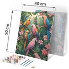 Massido, obraz do malowania po numerach, Papugi, 40-50 cm